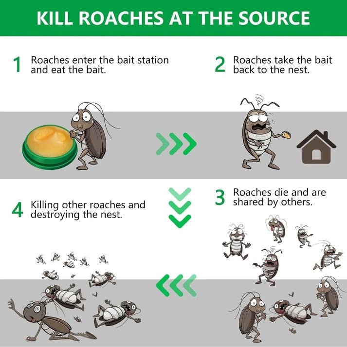 Cockroach Killer Powder Gel (Pack of 24pc) - My Store